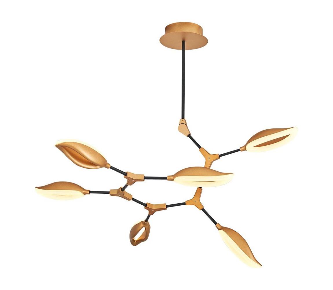 LED rúdcsillár ASTI 6xLED/7W/230V 3000K arany 414LRC1339