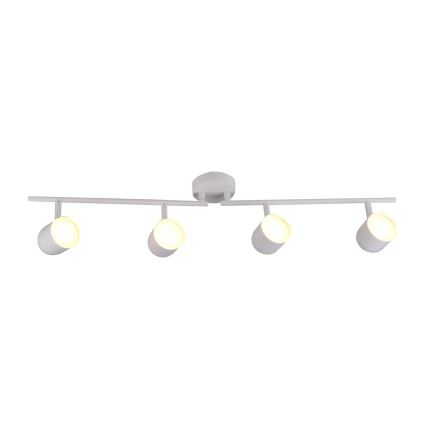 LED Spotlámpa RAWI 4xLED/4,2W/230V fehér