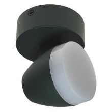 LED Spotlámpa SURMUR LED/6W/230V zöld