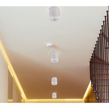 LED Spotlámpa TUBA 1xGU10/5W/230V 2700K fehér