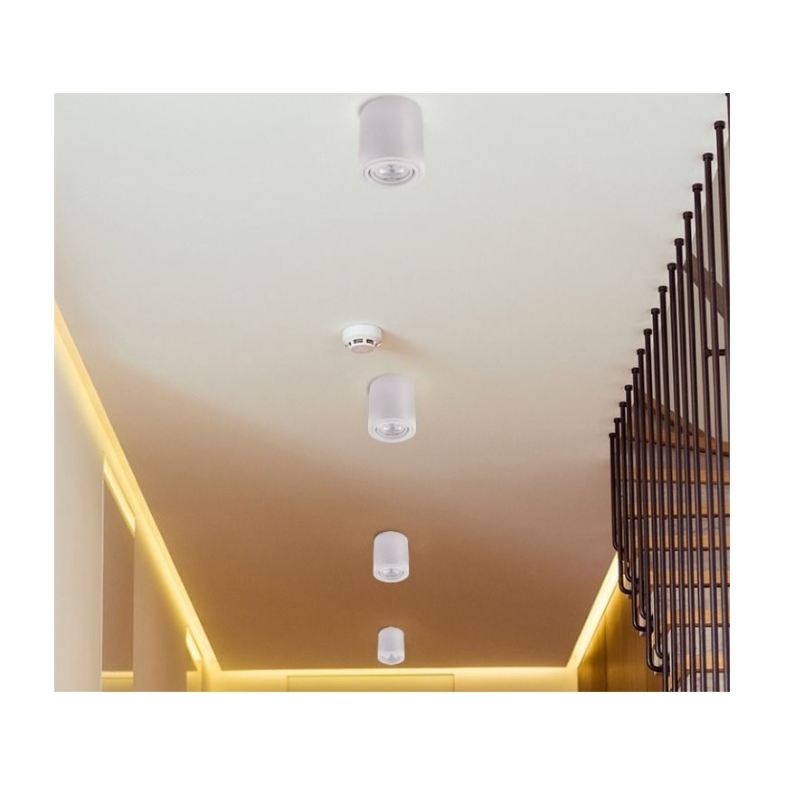 LED Spotlámpa TUBA 1xGU10/5W/230V 2700K fehér