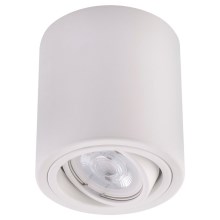 LED Spotlámpa TUBA 1xGU10/5W/230V 4000K fehér