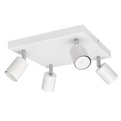 LED Spotlámpa TUNE 4xGU10/4,8W/230V fehér