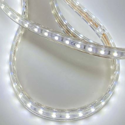 LED Szalag EASY CONNECT LED/14,4W/230V 3m IP67 hideg fehér
