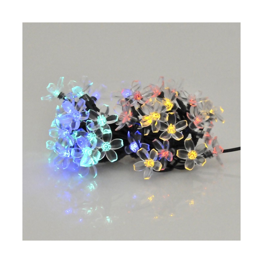 LED Szolár lánc FLOWER 50xLED/1,2V IP44