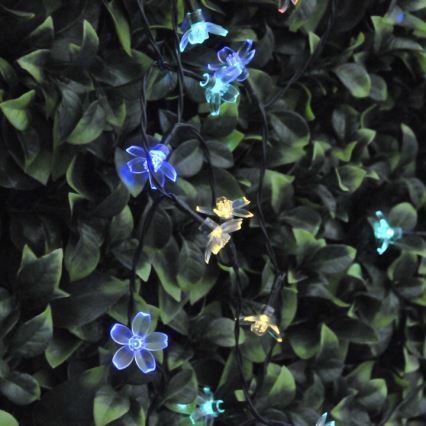 LED Szolár lánc FLOWER 50xLED/1,2V IP44