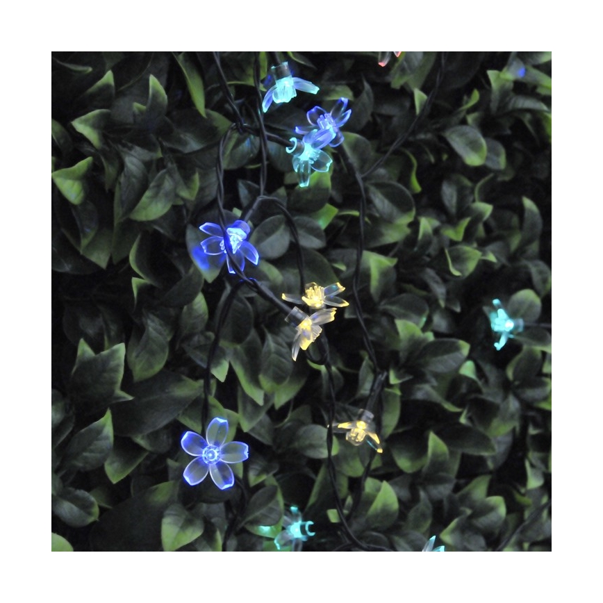 LED Szolár lánc FLOWER 50xLED/1,2V IP44