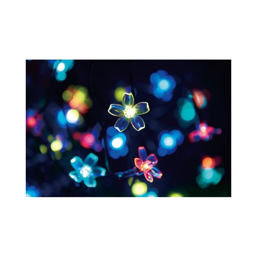 LED Szolár lánc FLOWER 50xLED/1,2V IP44