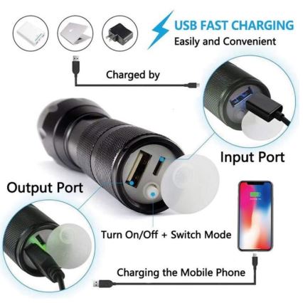 LED Tölthető zseblámpa LED/10W/4,5V