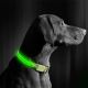 LED Újratölthető kutyanyakörv 35-43 cm 1xCR2032/5V/40 mAh zöld