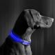 LED Újratölthető kutyanyakörv 40-48 cm 1xCR2032/5V/40 mAh kék