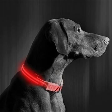 LED Újratölthető kutyanyakörv 45-52 cm 1xCR2032/5V/40 mAh piros