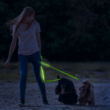 LED Újratölthető póráz 120 cm 2xCR2032/5V/40 mAh zöld