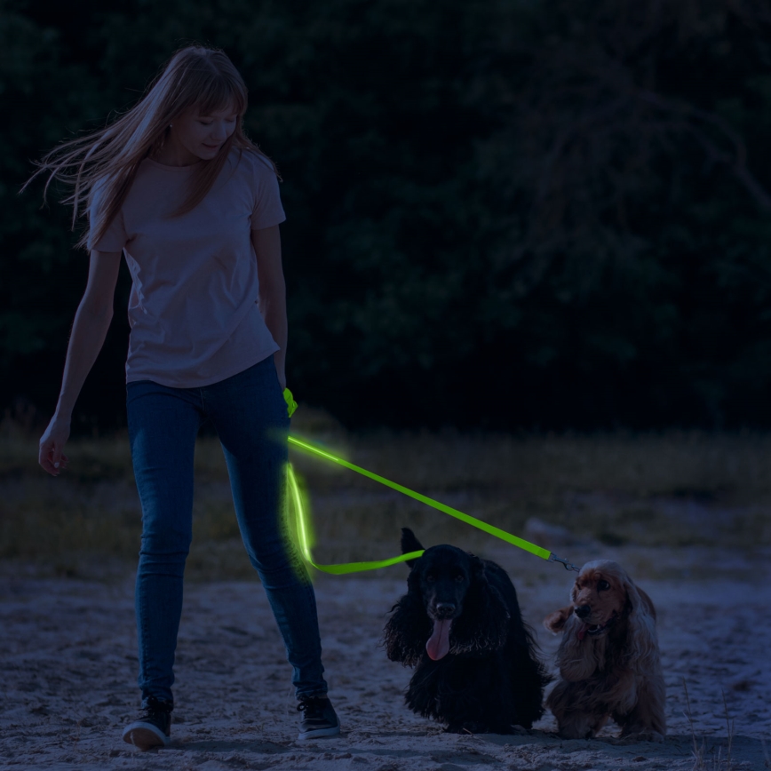 LED Újratölthető póráz 120 cm 2xCR2032/5V/40 mAh zöld