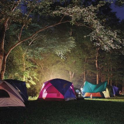 LED újratölthető zseblámpa LED/3,7V 4000 mAh