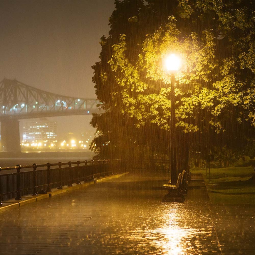 LED utcai lámpa érzékelővel SAMSUNG CHIP LED/50W/230V 4000K IP65