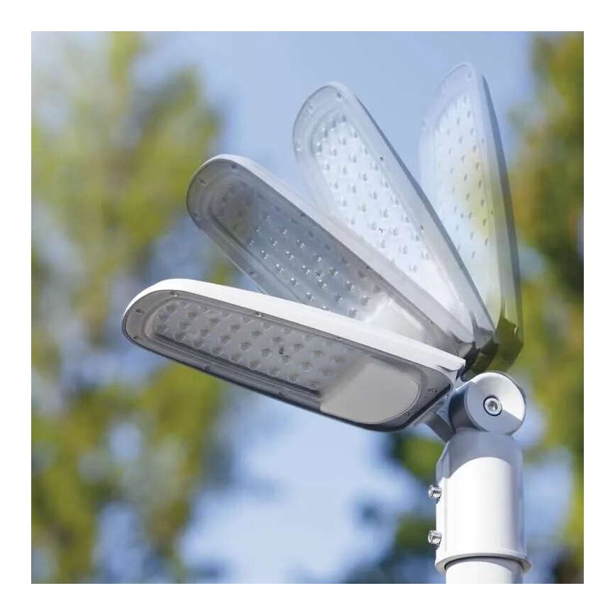LED Utcai világítás SOLIS LED/50W/230V 4000K IP65