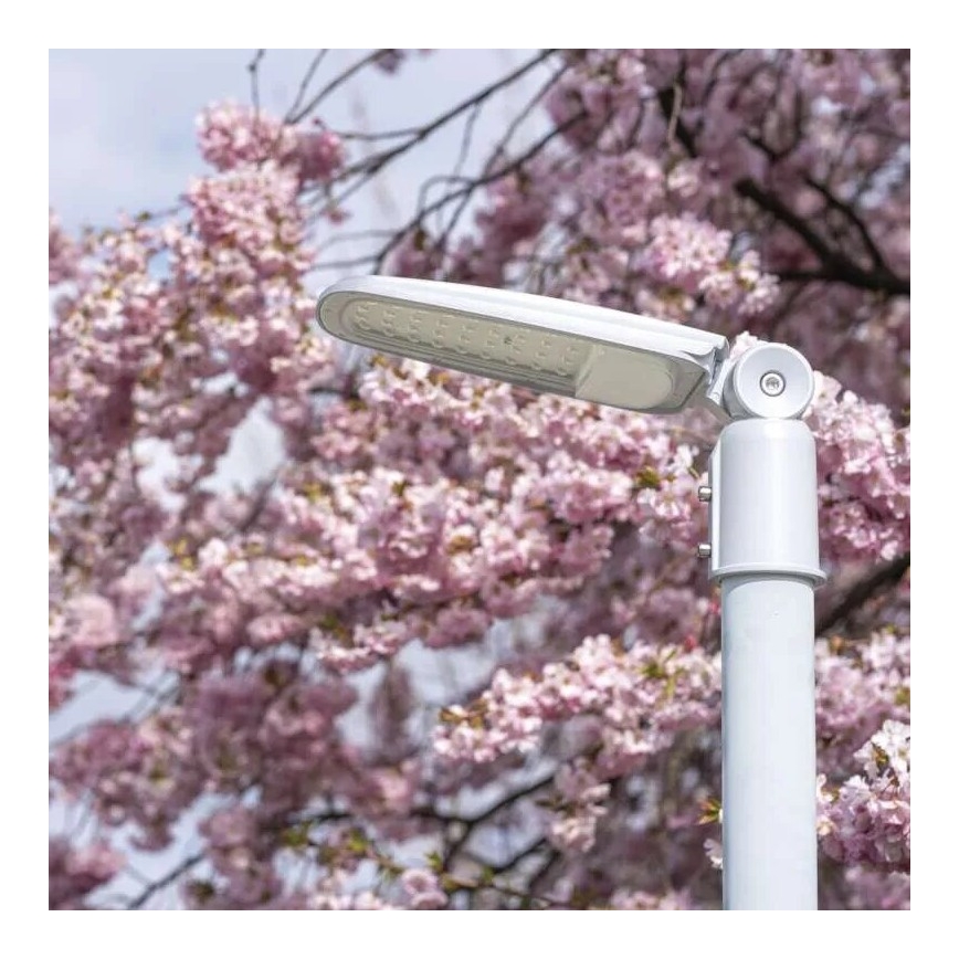 LED Utcai világítás SOLIS LED/50W/230V 4000K IP65