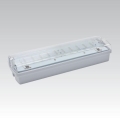 LED Vészvilágítás CARLA LED/5,51W/230V ideiglenes 1h IP65