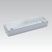 LED Vészvilágítás CARLA LED/5,51W/230V IP65