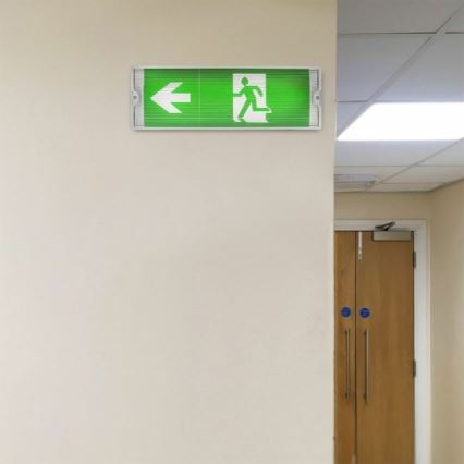 LED Vészvilágítás EMERGENCY EXIT LED/3W/230V 6400K IP65