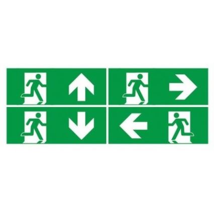 LED Vészvilágítás rendszeres működési teszttel EMERGENCY EXIT LED/3W/230V 6400K IP65
