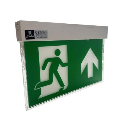 LED Vészvilágítás LED/2W/230V 6000K 1500 mAh