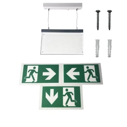 LED Vészvilágítás LED/4W/230V 6000K 1000 mAh