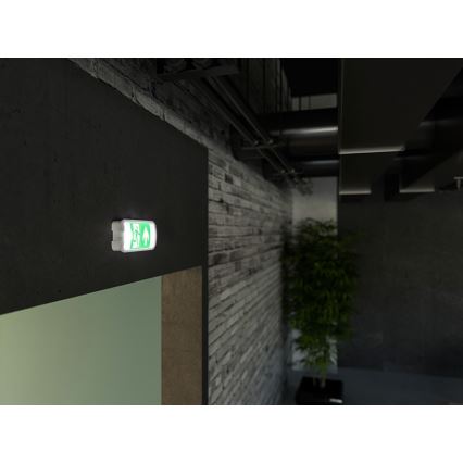 LED Vészvilágítás VIRGO EVO LED/1W/230V 6000K IP65