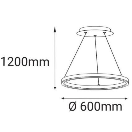 LED2 - LED Csillár zsinóron CIRCLE LED/42W/230V