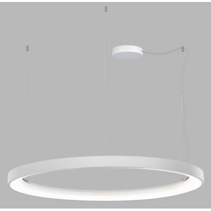LED2 - LED Dimmelhető csillár zsinóron BELLA LED/80W/230V 3000K/4000K fehér