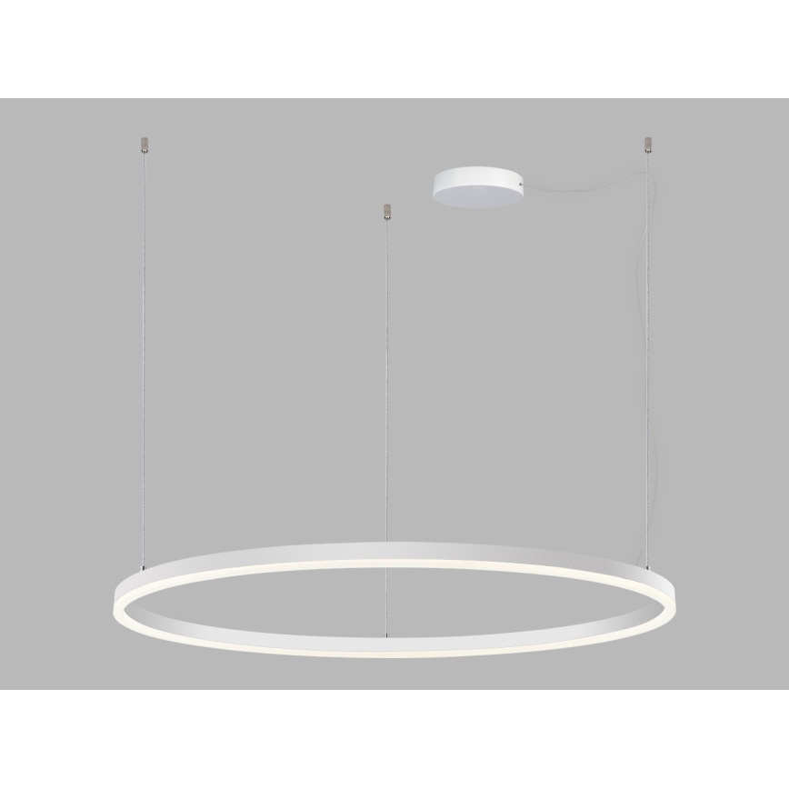 LED2 - LED Dimmelhető csillár zsinóron CIRCLE LED/80W/230V 3000K/4000K átm. 100 cm fehér