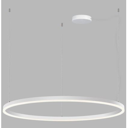 LED2 - LED Dimmelhető csillár zsinóron SATURN LED/80W/230V á. 100 cm fehér