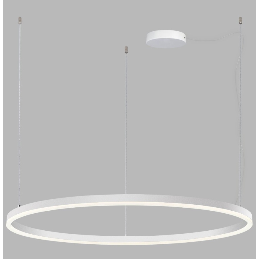 LED2 - LED Dimmelhető csillár zsinóron SATURN LED/80W/230V á. 100 cm fehér