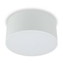 LED2 - LED Mennyezeti lámpa BUTTON LED/17W/230V fehér