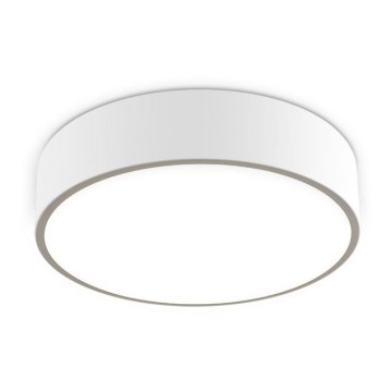 LED2 - LED Mennyezeti lámpa MONO LED/30W/230V 3000K/4000K fehér