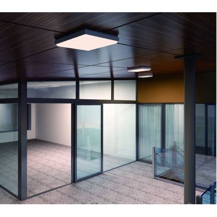 LED2 - LED Mennyezeti lámpa QUADO LED/25W/230V IP54 négyzet