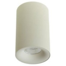 LED2 - LED Mennyezeti lámpa TUBUS LED/9W/230V fehér