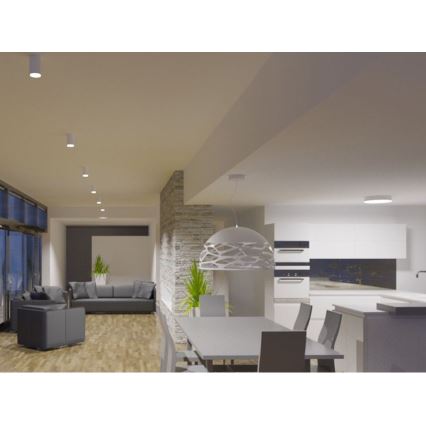 LED2 - LED Mennyezeti lámpa TUBUS LED/9W/230V fehér