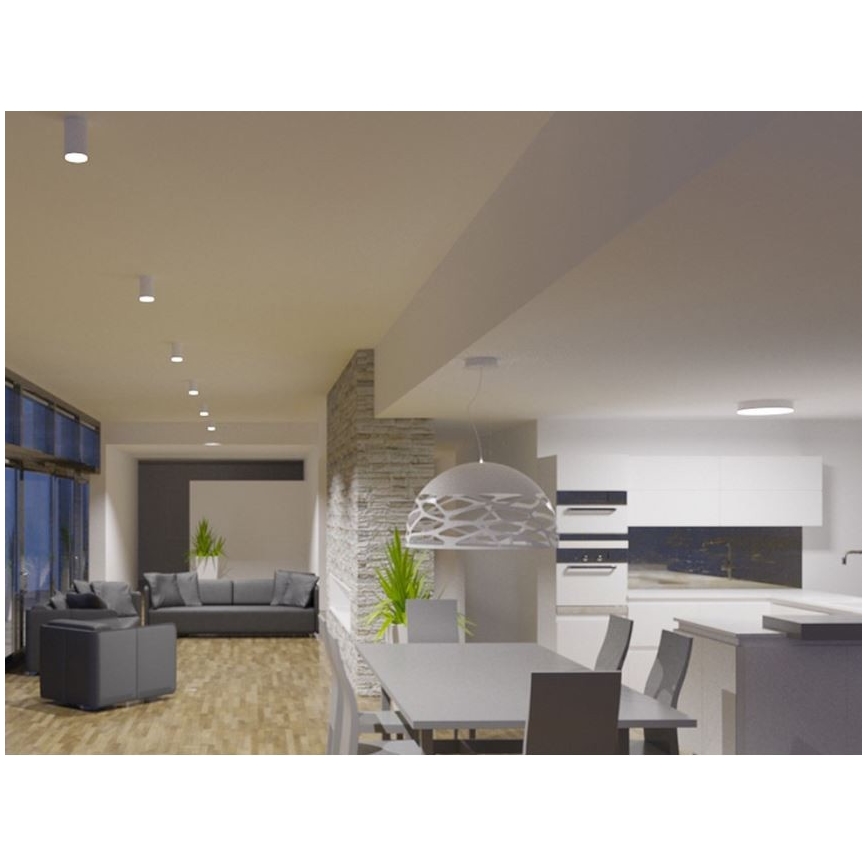 LED2 - LED Mennyezeti lámpa TUBUS LED/9W/230V fehér