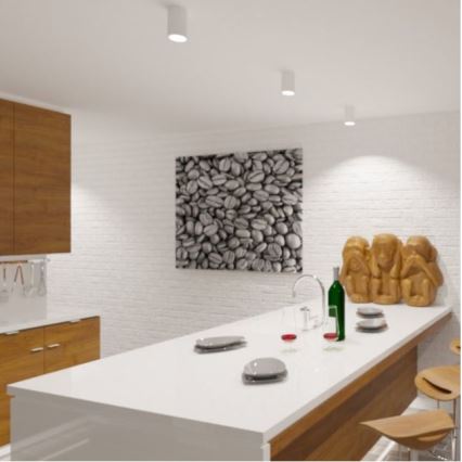 LED2 - LED Mennyezeti lámpa TUBUS LED/9W/230V fehér