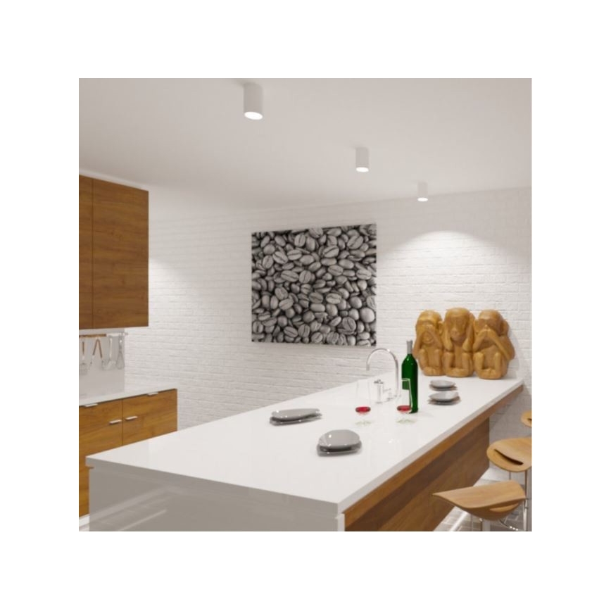 LED2 - LED Mennyezeti lámpa TUBUS LED/9W/230V fehér