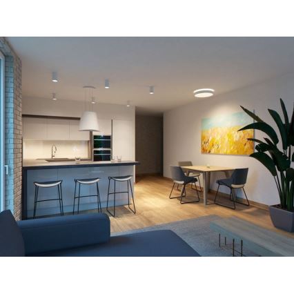 LED2 - LED Mennyezeti lámpa TUBUS LED/9W/230V fehér