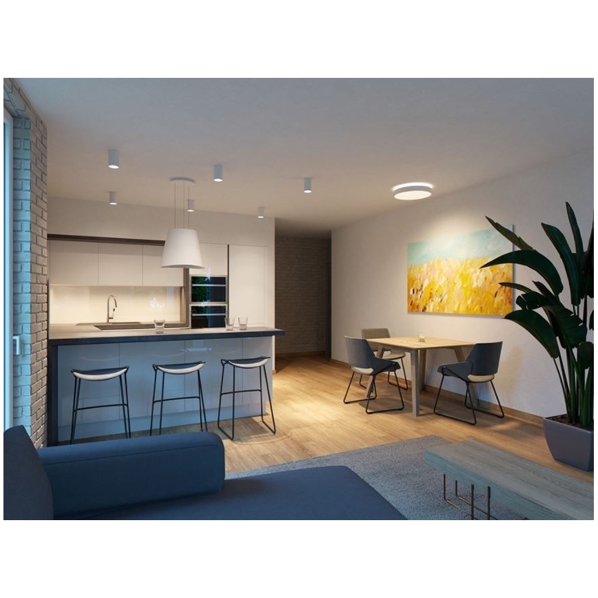 LED2 - LED Mennyezeti lámpa TUBUS LED/9W/230V fehér