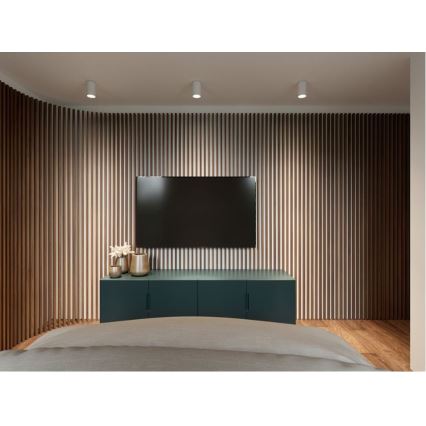 LED2 - LED Mennyezeti lámpa TUBUS LED/9W/230V fehér