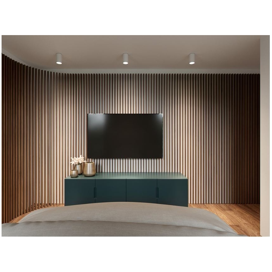 LED2 - LED Mennyezeti lámpa TUBUS LED/9W/230V fehér