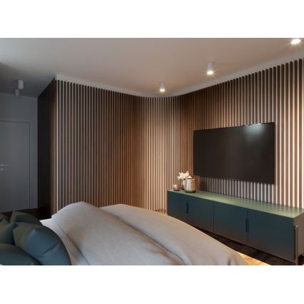 LED2 - LED Mennyezeti lámpa TUBUS LED/9W/230V fehér