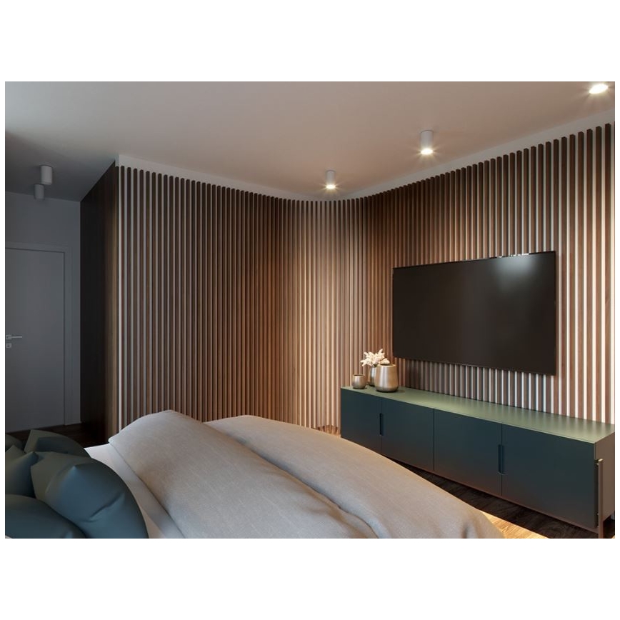 LED2 - LED Mennyezeti lámpa TUBUS LED/9W/230V fehér
