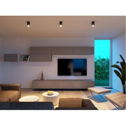 LED2 - LED Mennyezeti lámpa TUBUS LED/9W/230V fekete