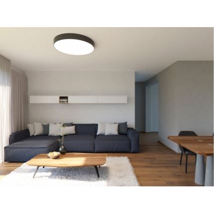 LED2 - LED Mennyezeti lámpa MONO LED/60W/230V 3000/4000K fekete